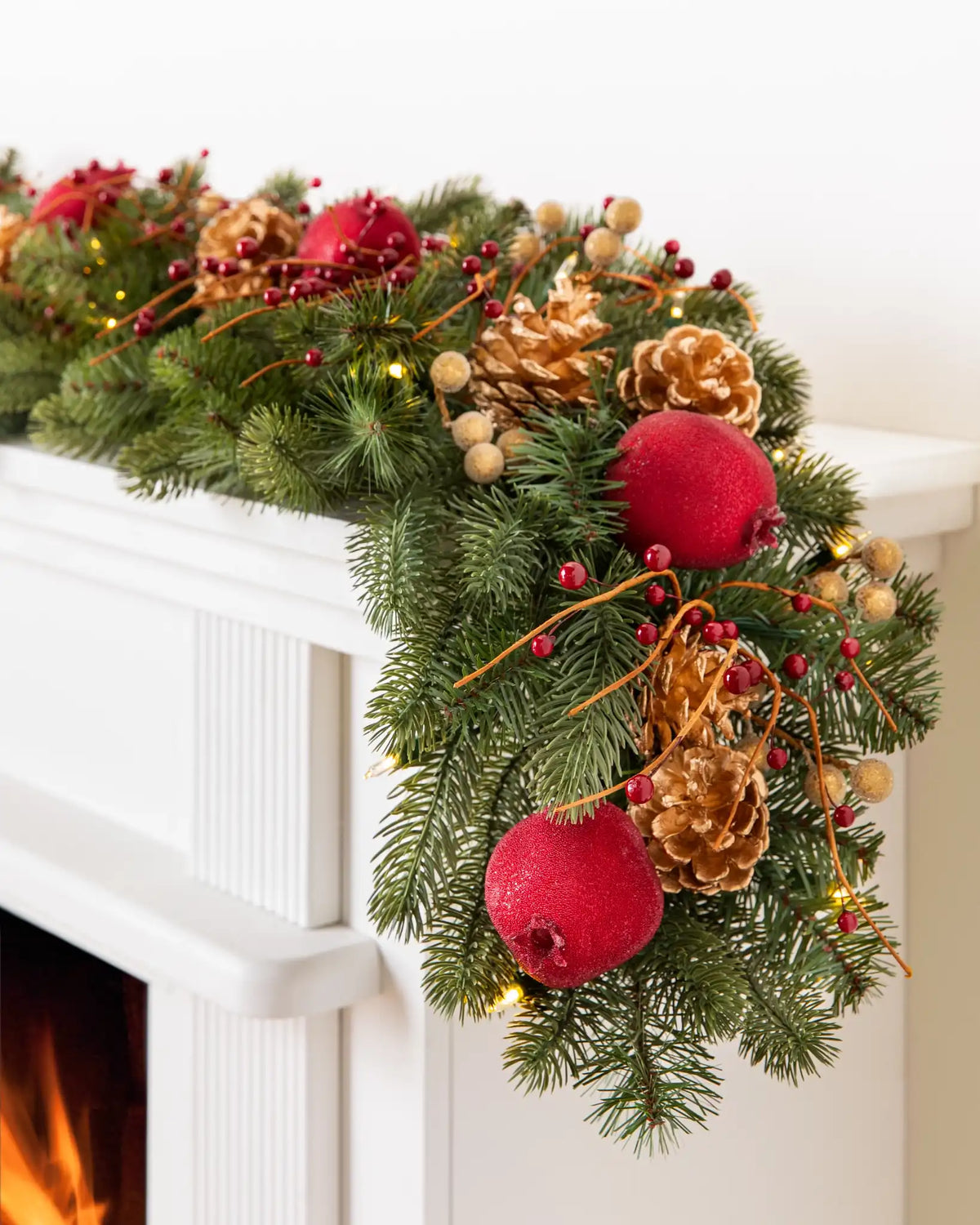 Vermont White Spruce Bordeaux Foliage