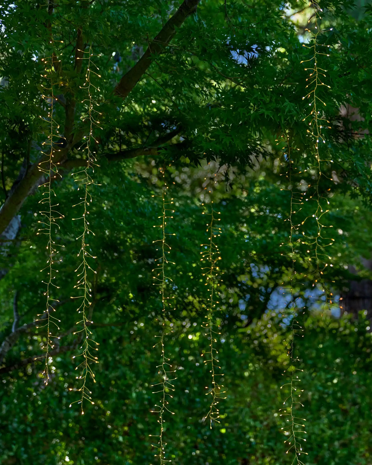 Fairy Light Tree Cascade Light String