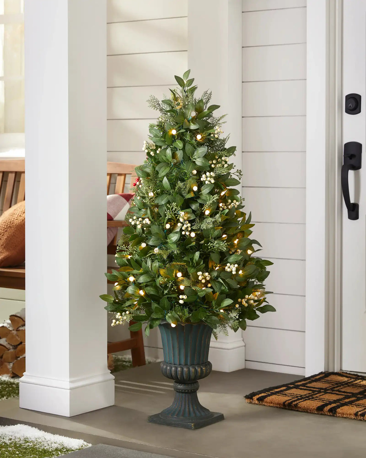 White Berry Cypress Potted Tree