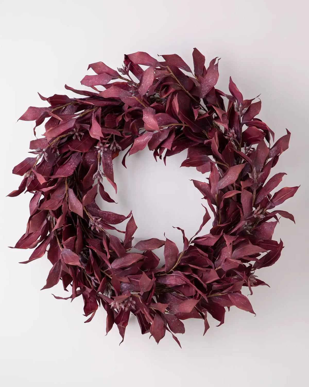 Burgundy Leaves Foliage