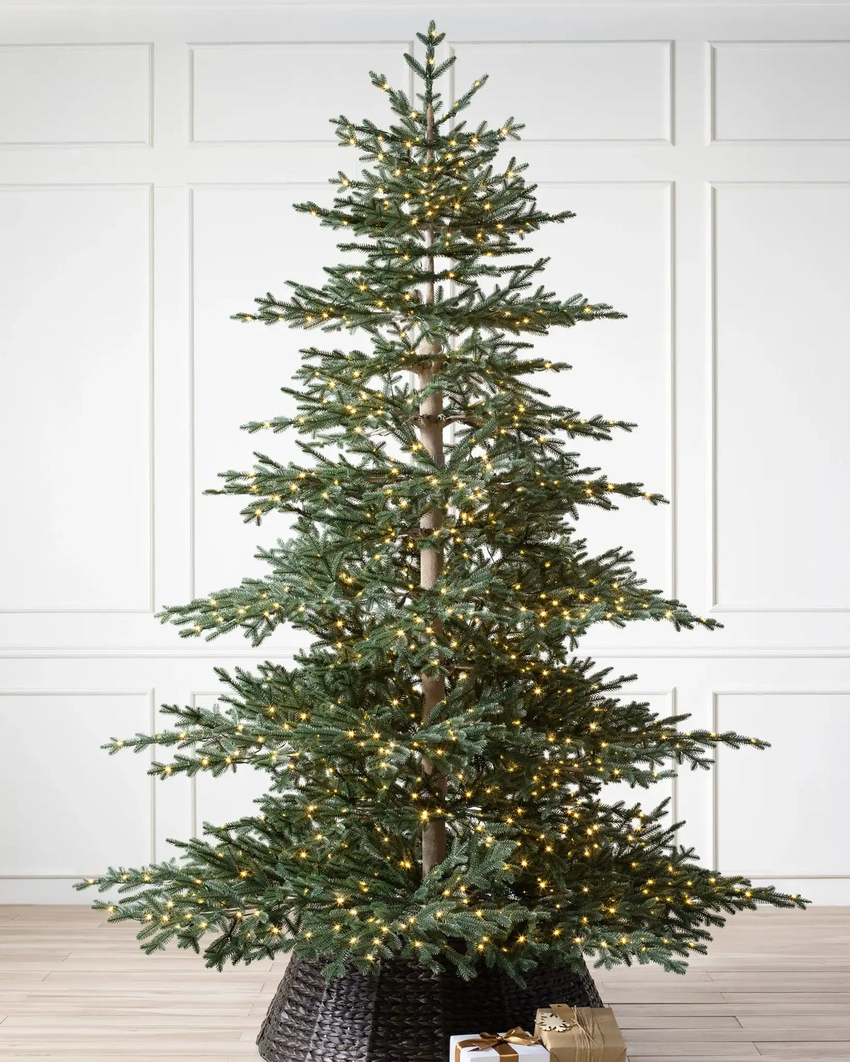Aspen Silver Fir® Christmas Tree