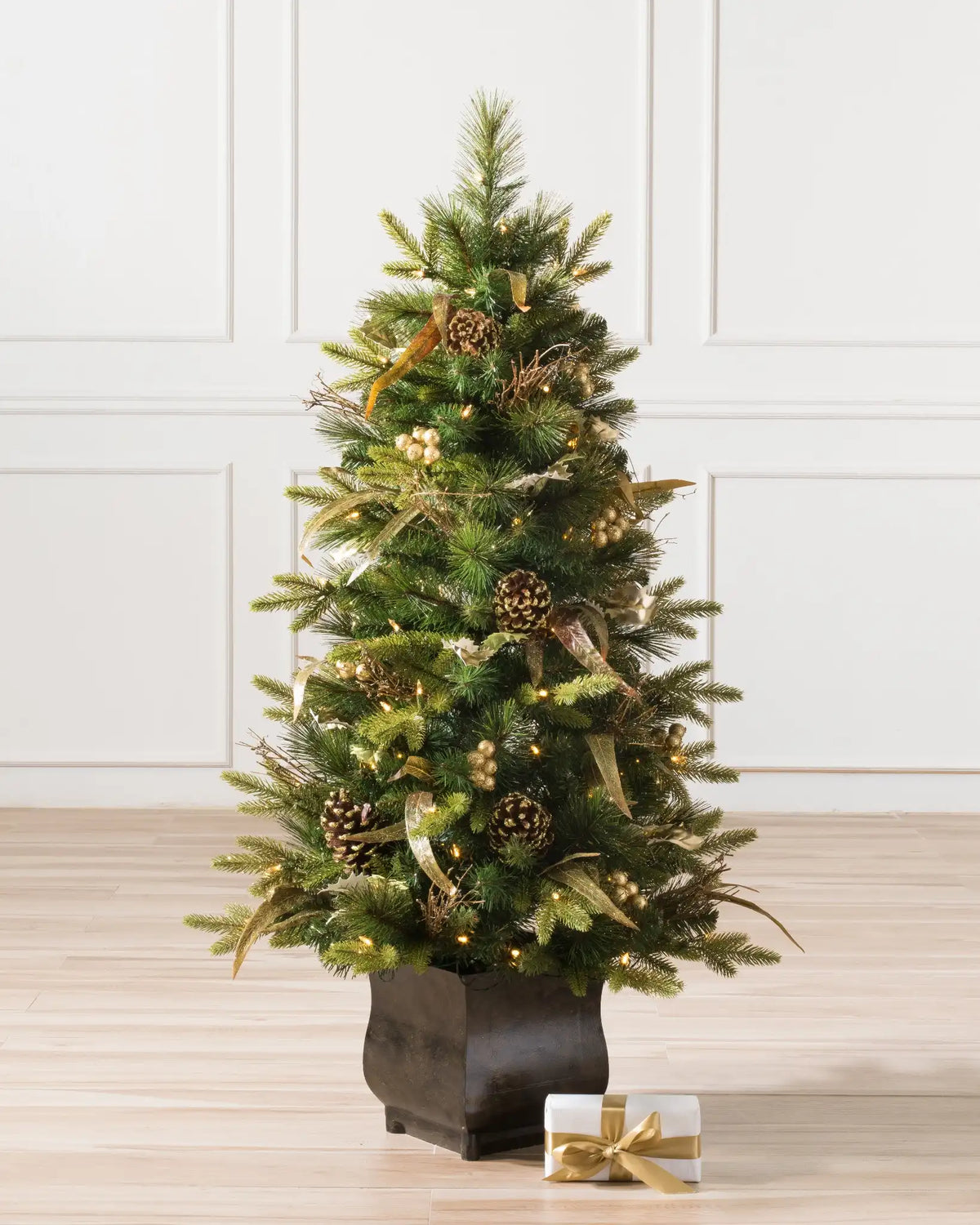 Coloma Golden Pine