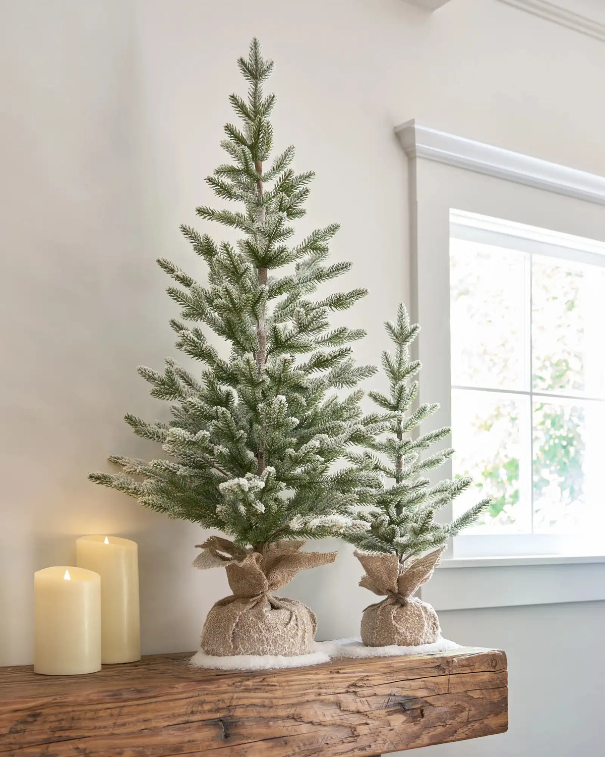 Frosted Trees with Burlap Base