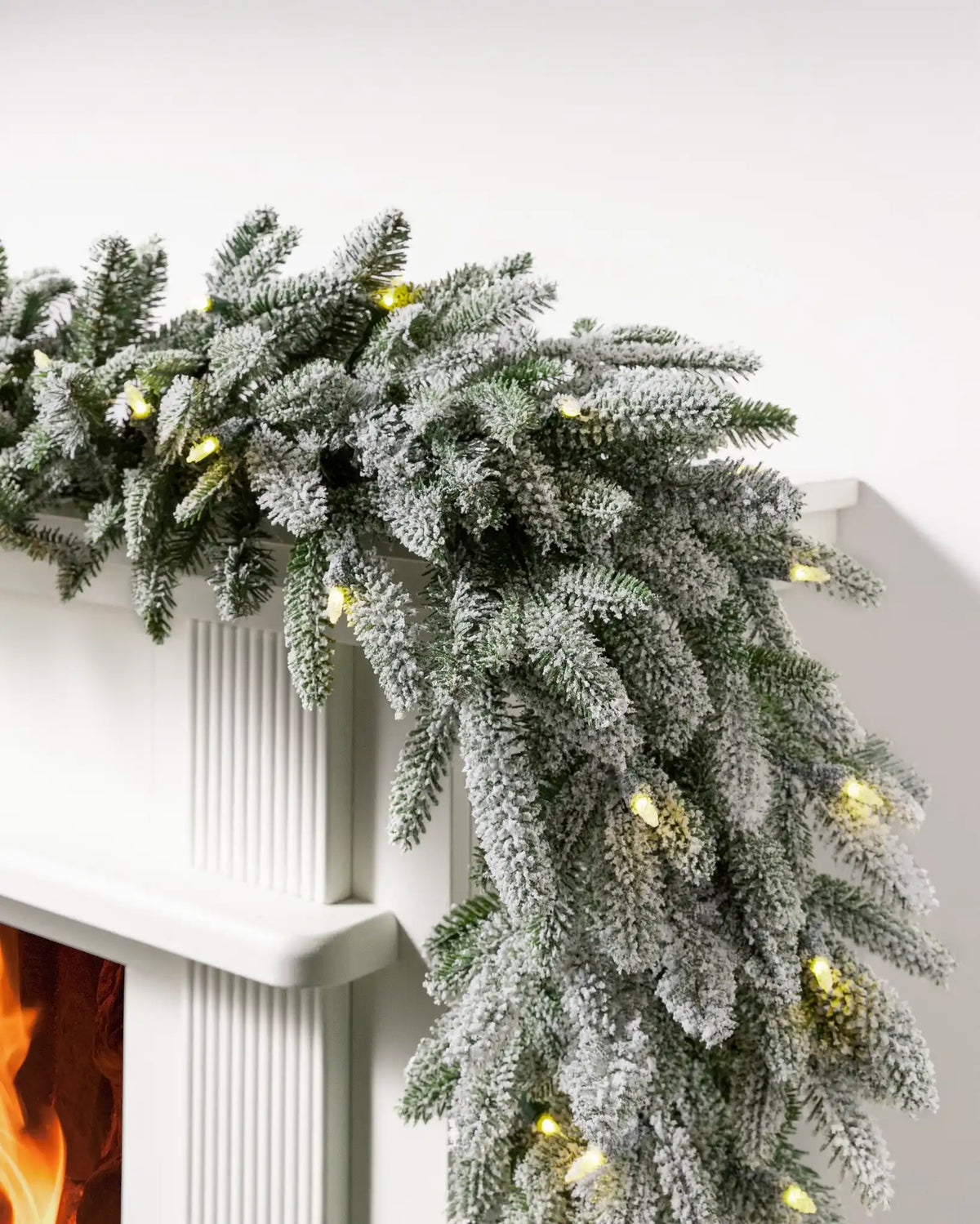 BH Frosted Fraser Fir® Foliage