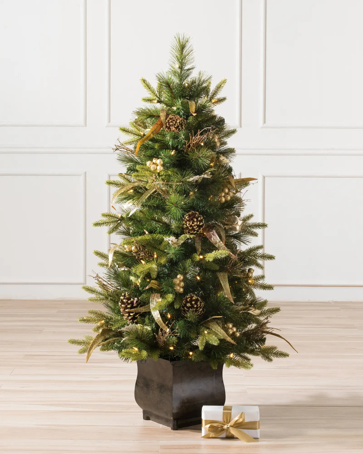 Coloma Golden Pine