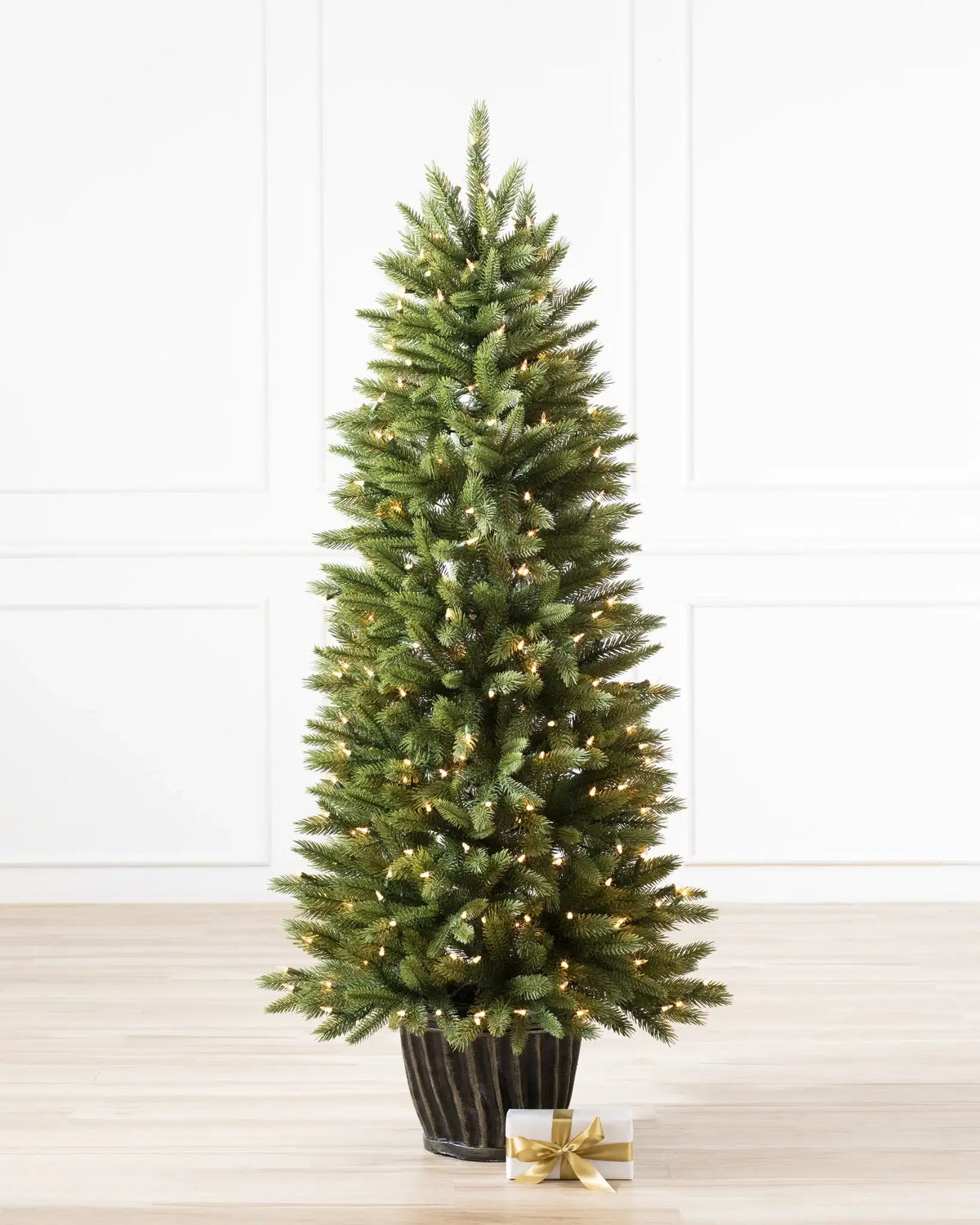 Rutherford Fir Potted Tree