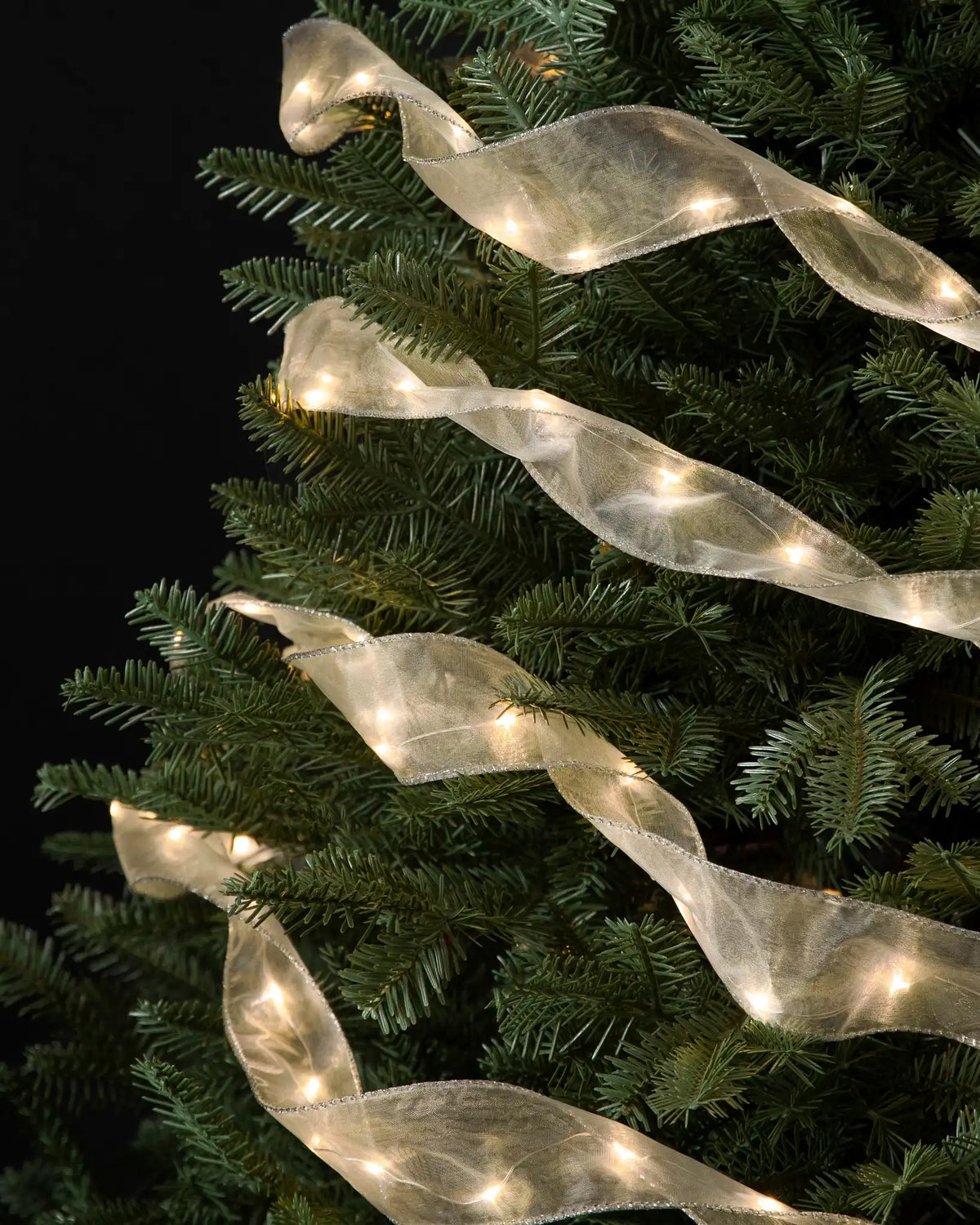 Lit Christmas Tree Ribbon Collection