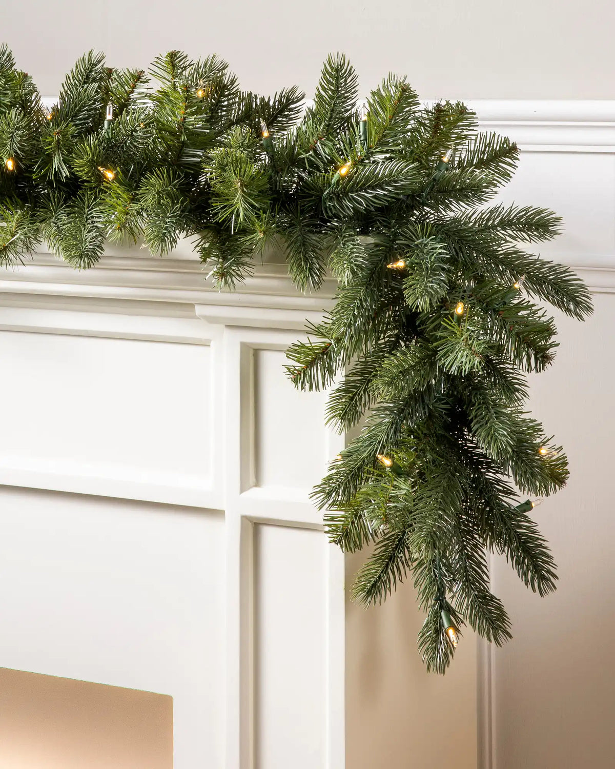 Vermont White Spruce Foliage