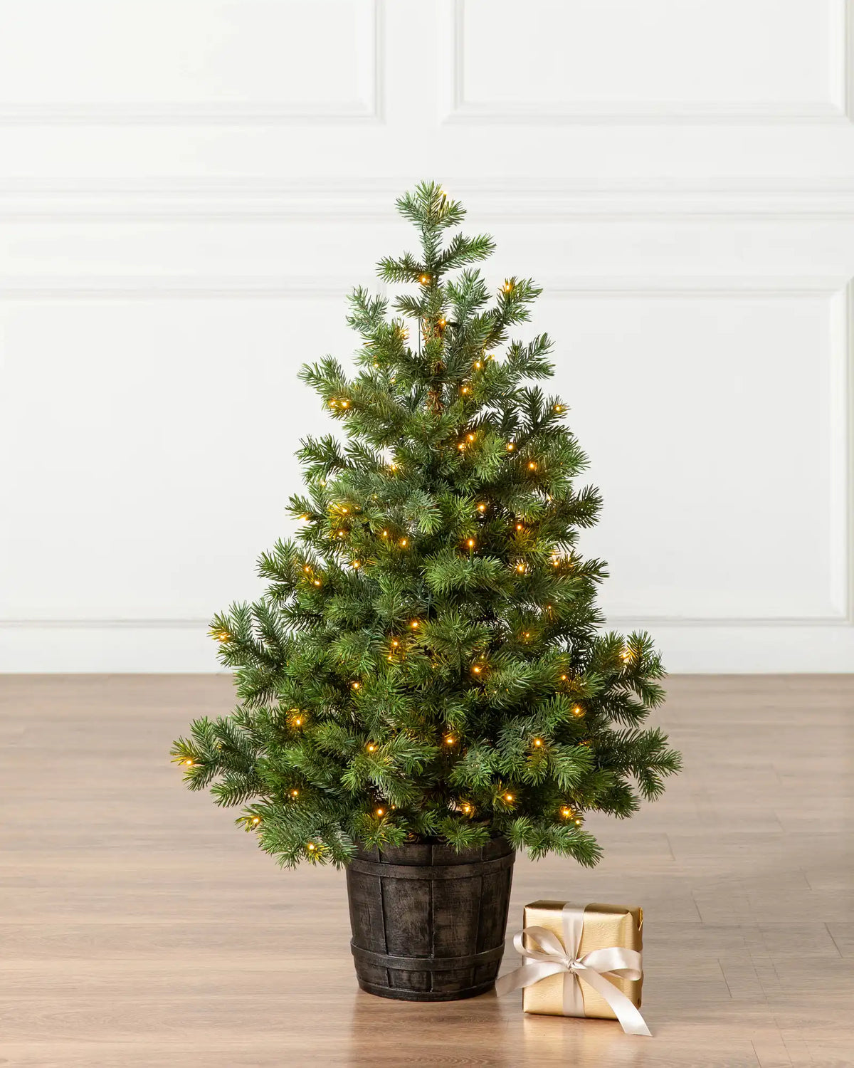Baby Yukon Spruce® Potted Trees