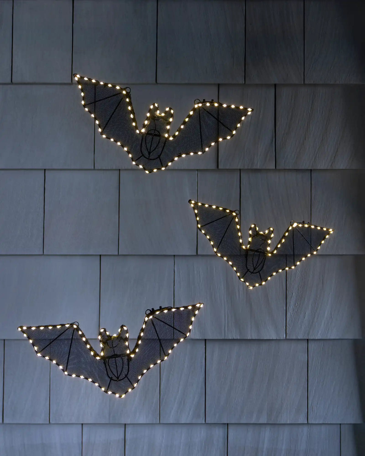 Outdoor Haunted Halloween LED Lights
