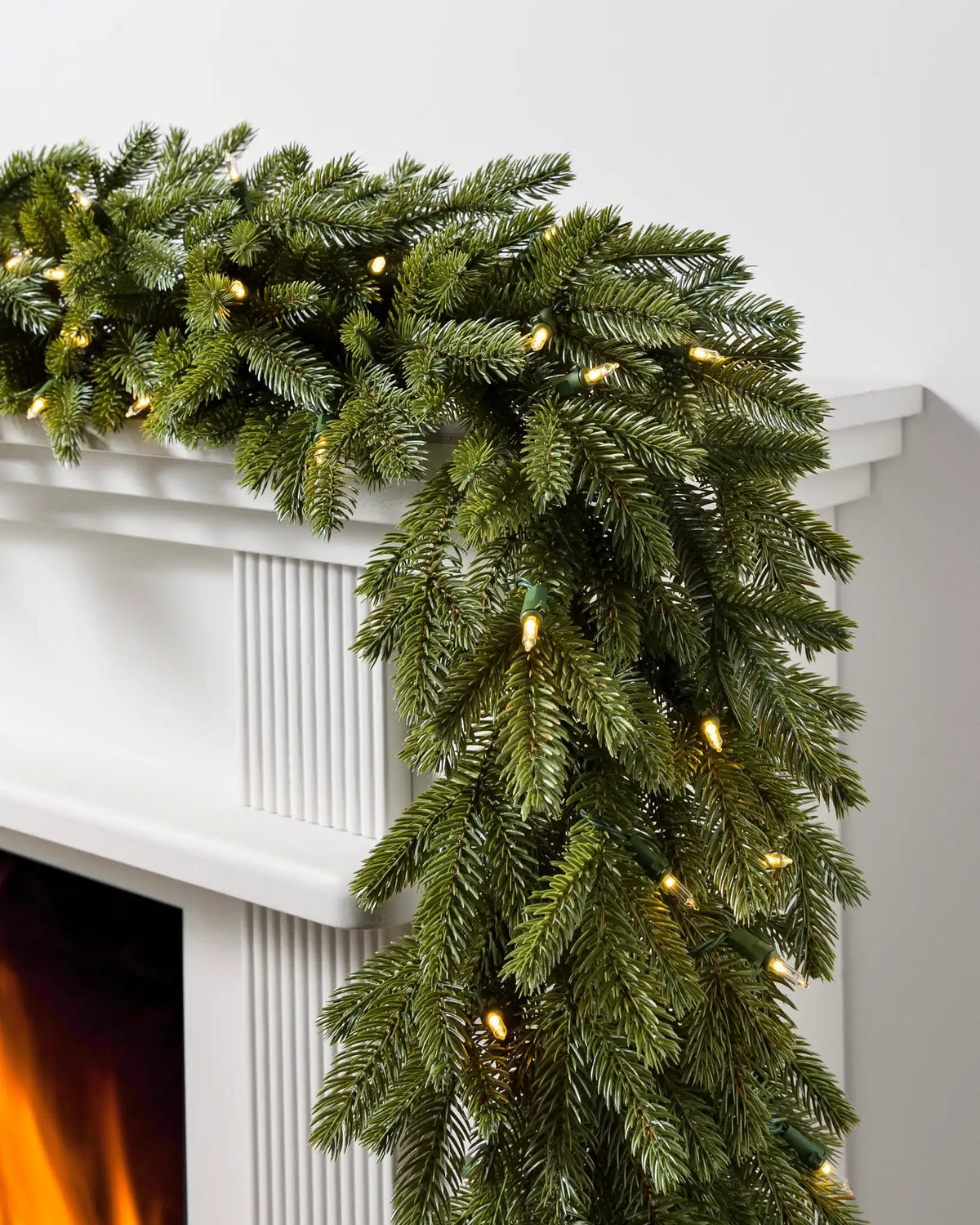 BH Norway Spruce Foliage