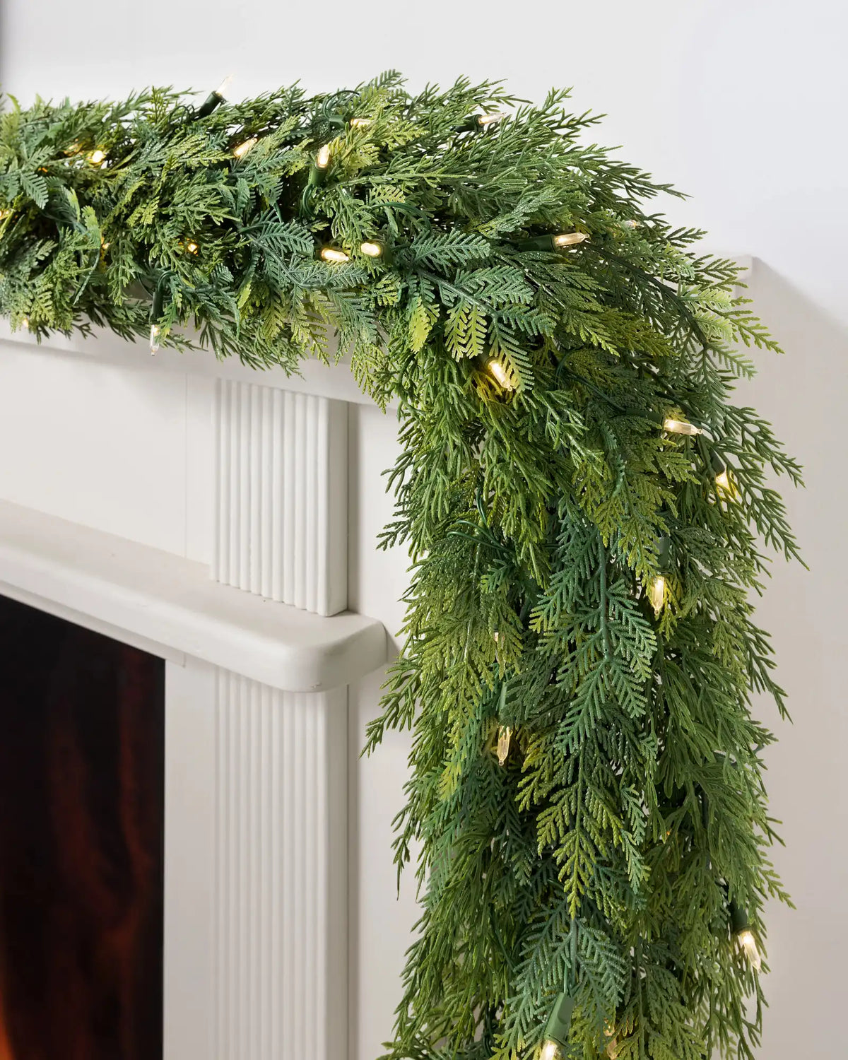 Outdoor Cedar Woods Foliage