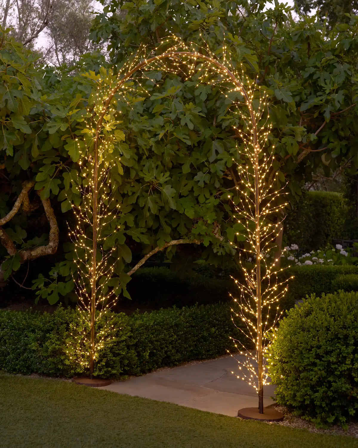 Cluster Micro LED Arch