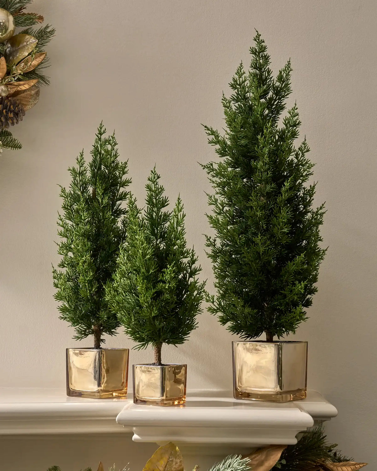 Evergreen Tabletop Trees