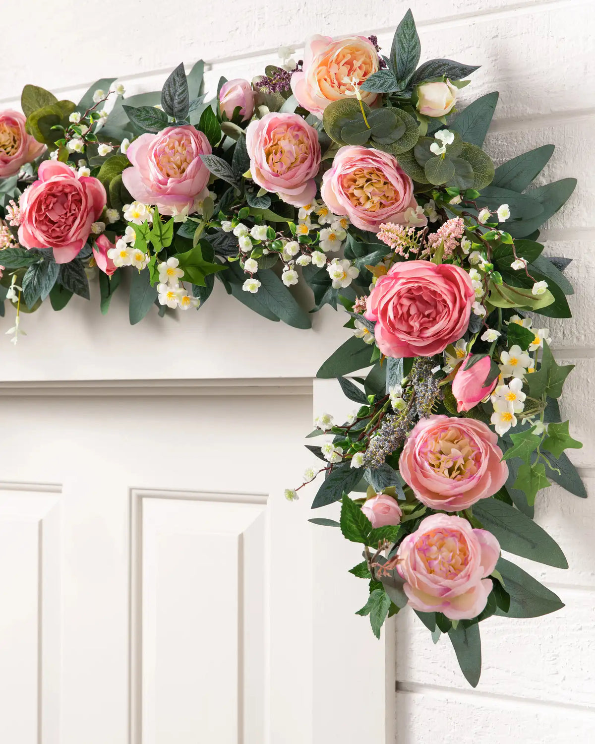 Outdoor Provence Rose Foliage