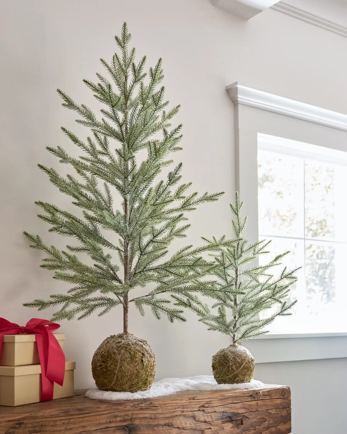 Tabletop Pine Trees with Moss Base