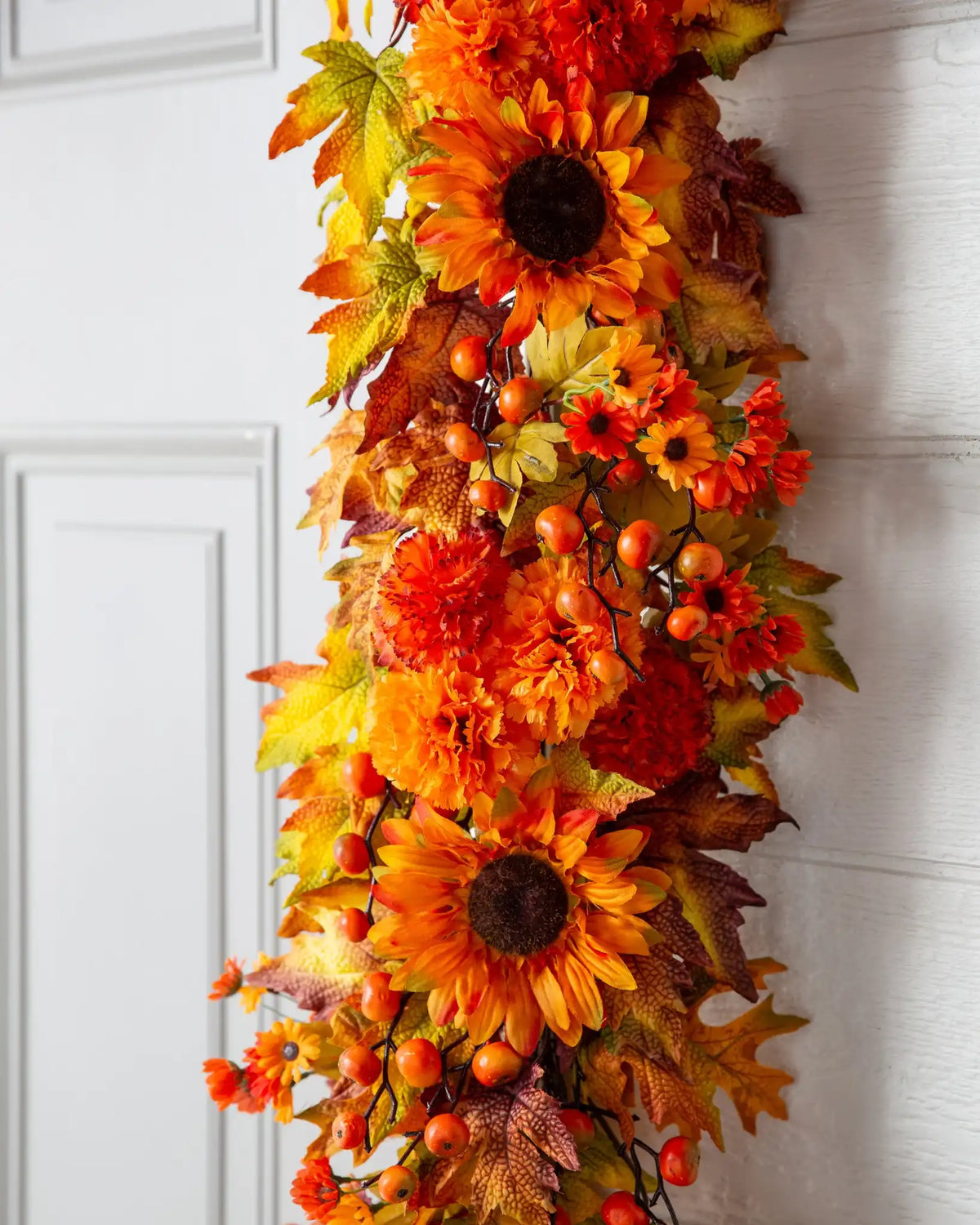 Outdoor Sunburst Mums Foliage