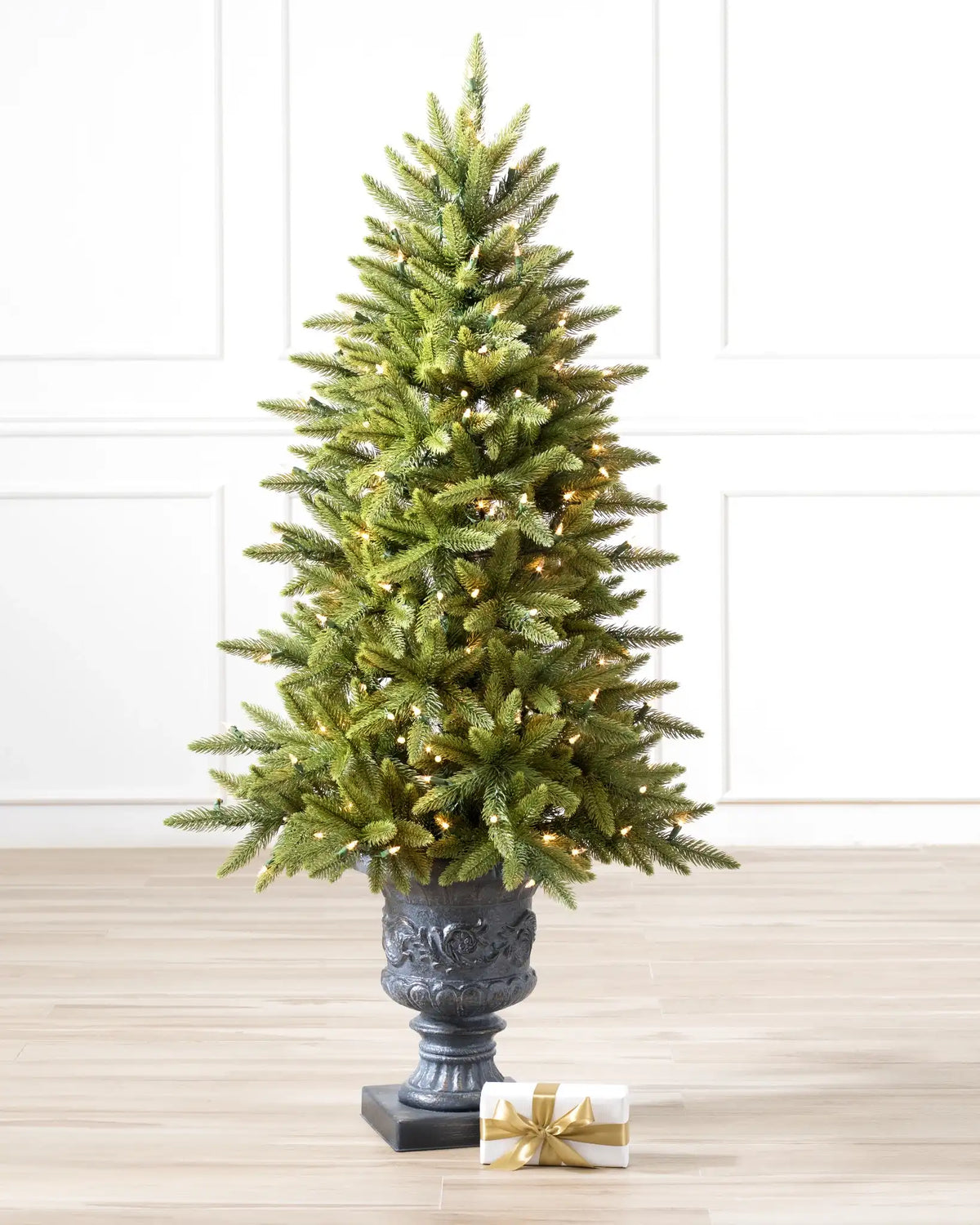 Highland Estate Potted Trees