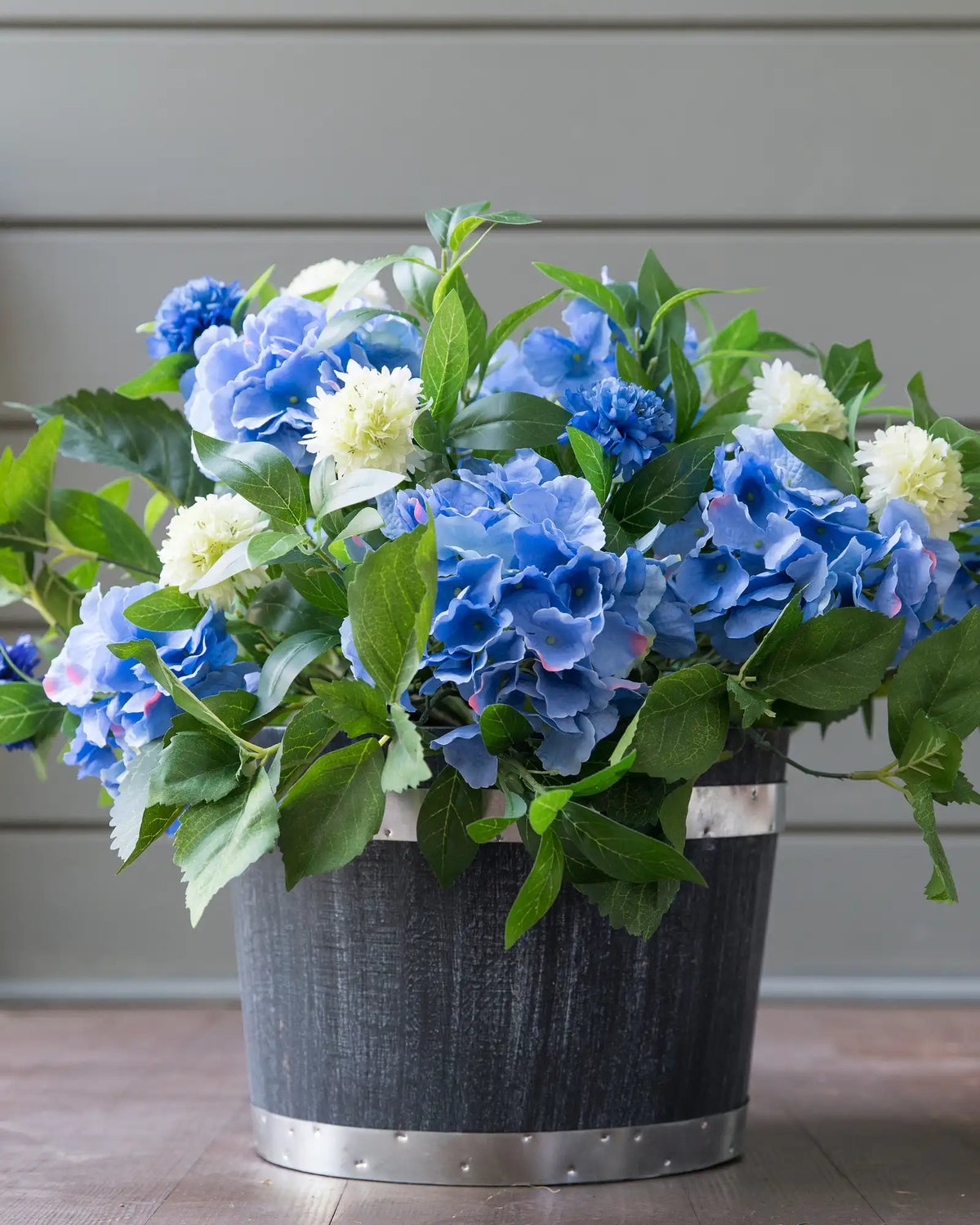 Outdoor Blue Hydrangea Foliage