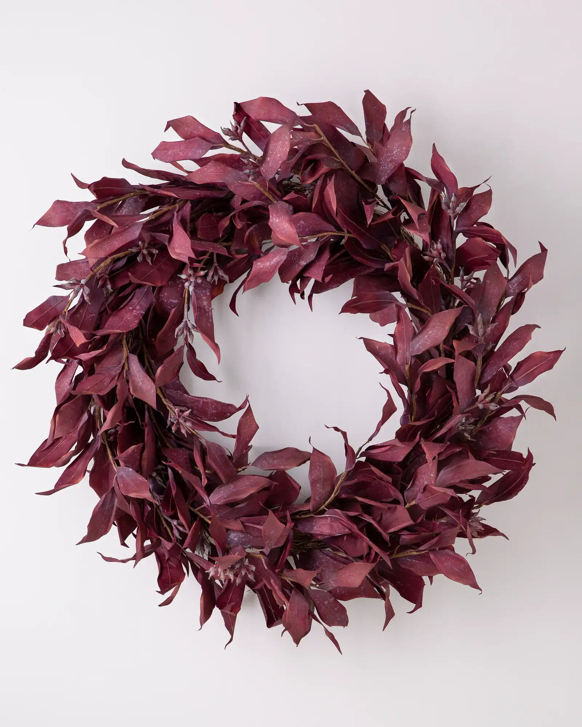 Burgundy Leaves Foliage