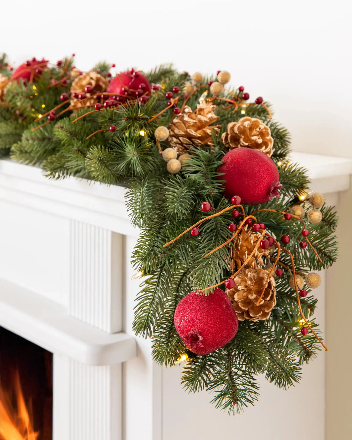 Vermont White Spruce Bordeaux Foliage