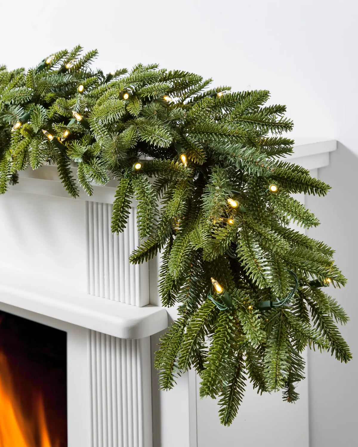 BH Fraser Fir Foliage