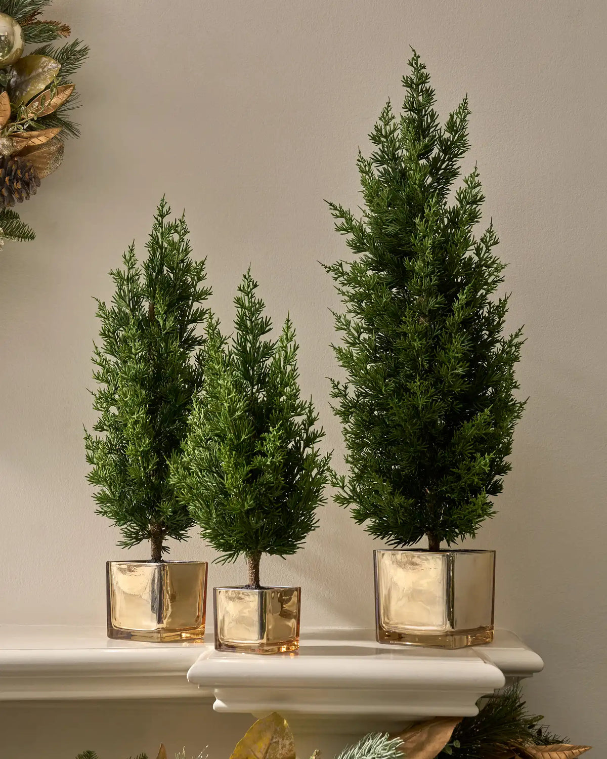 Evergreen Tabletop Trees