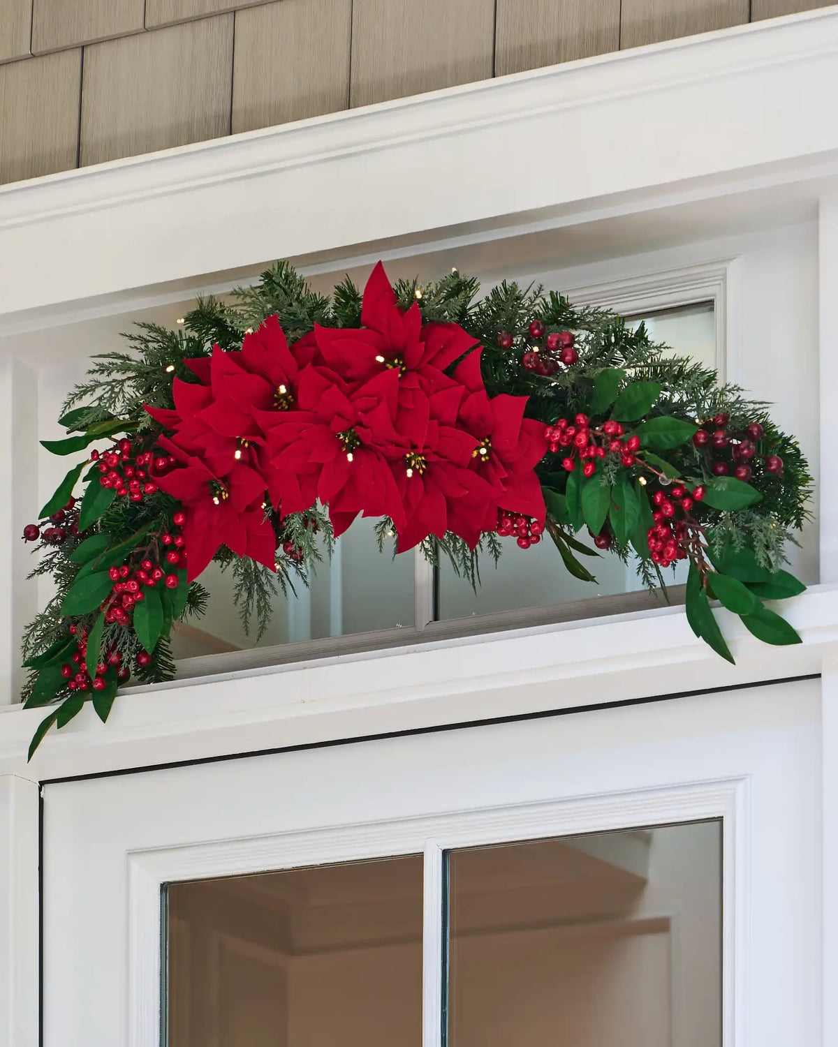 Poinsettia Berry Burst Foliage