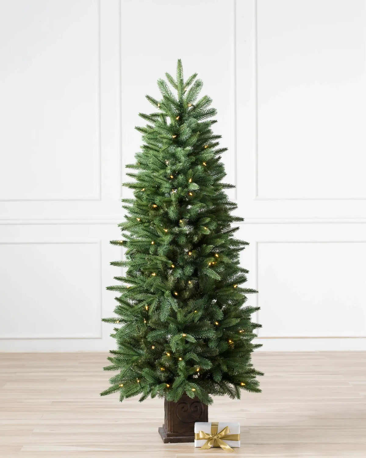 Windsor Spruce Potted Trees