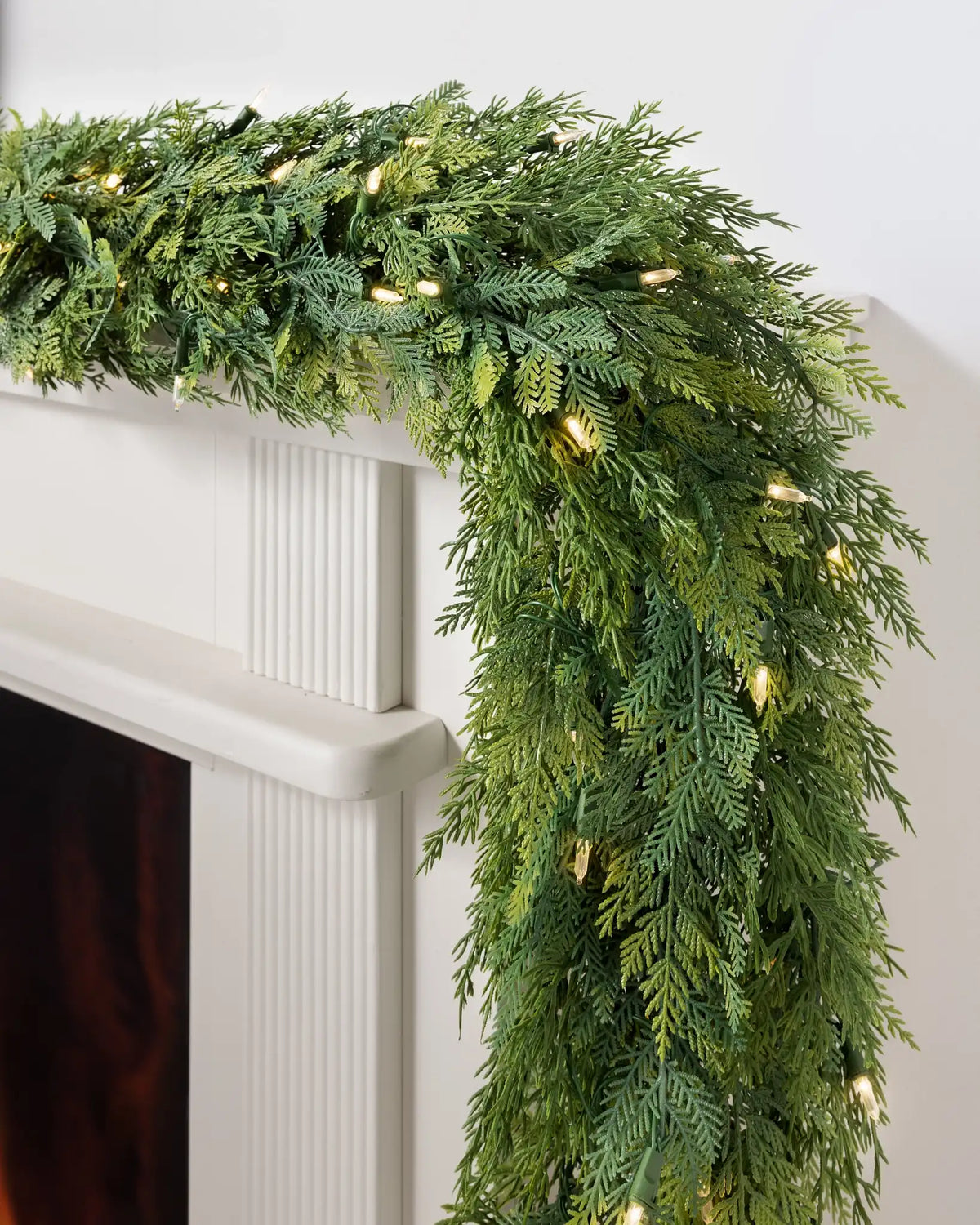 Outdoor Cedar Woods Foliage