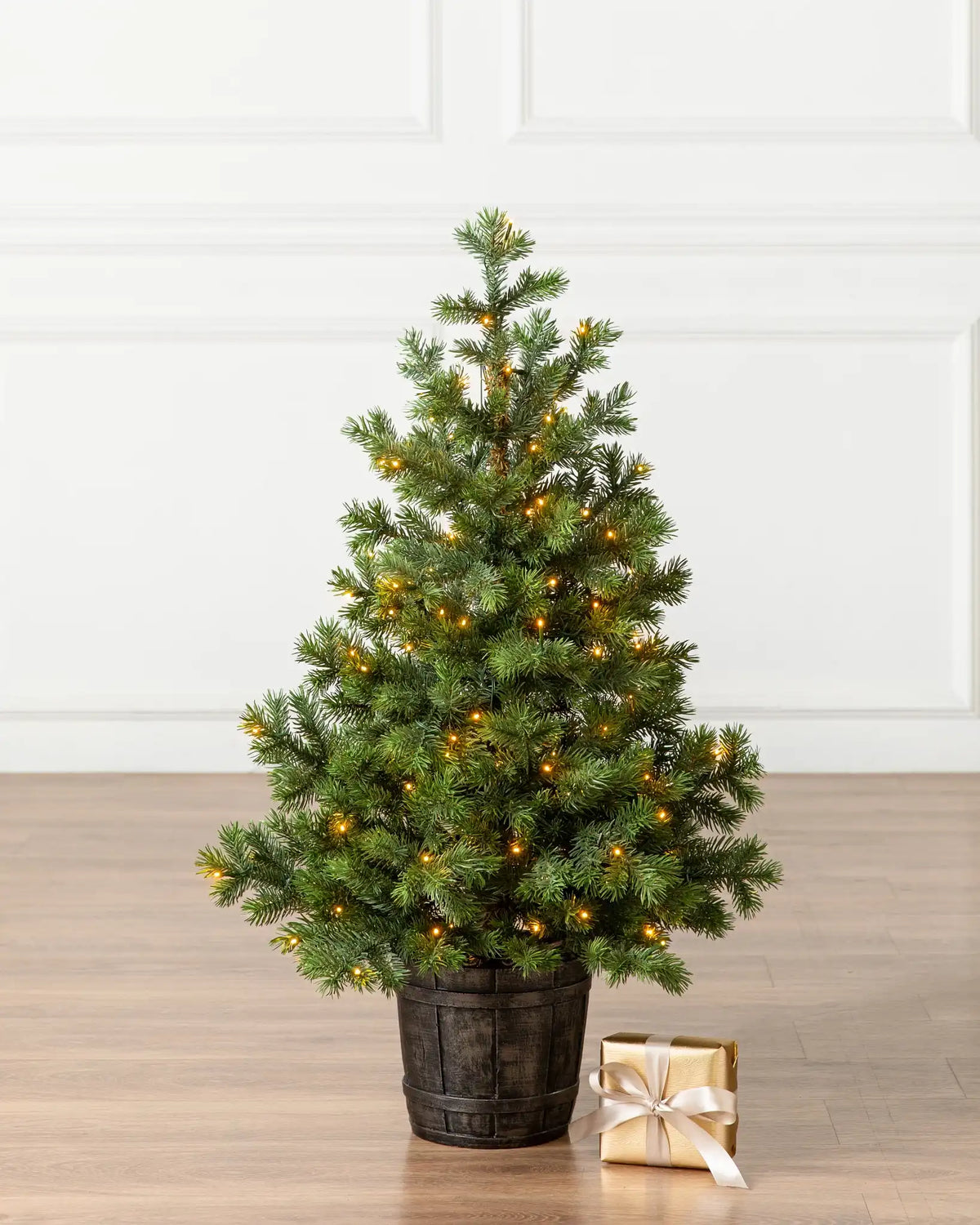 Baby Yukon Spruce® Potted Trees