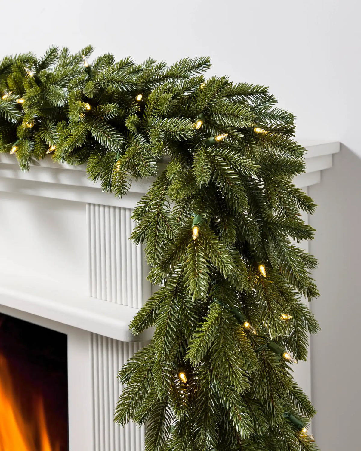 BH Norway Spruce Foliage