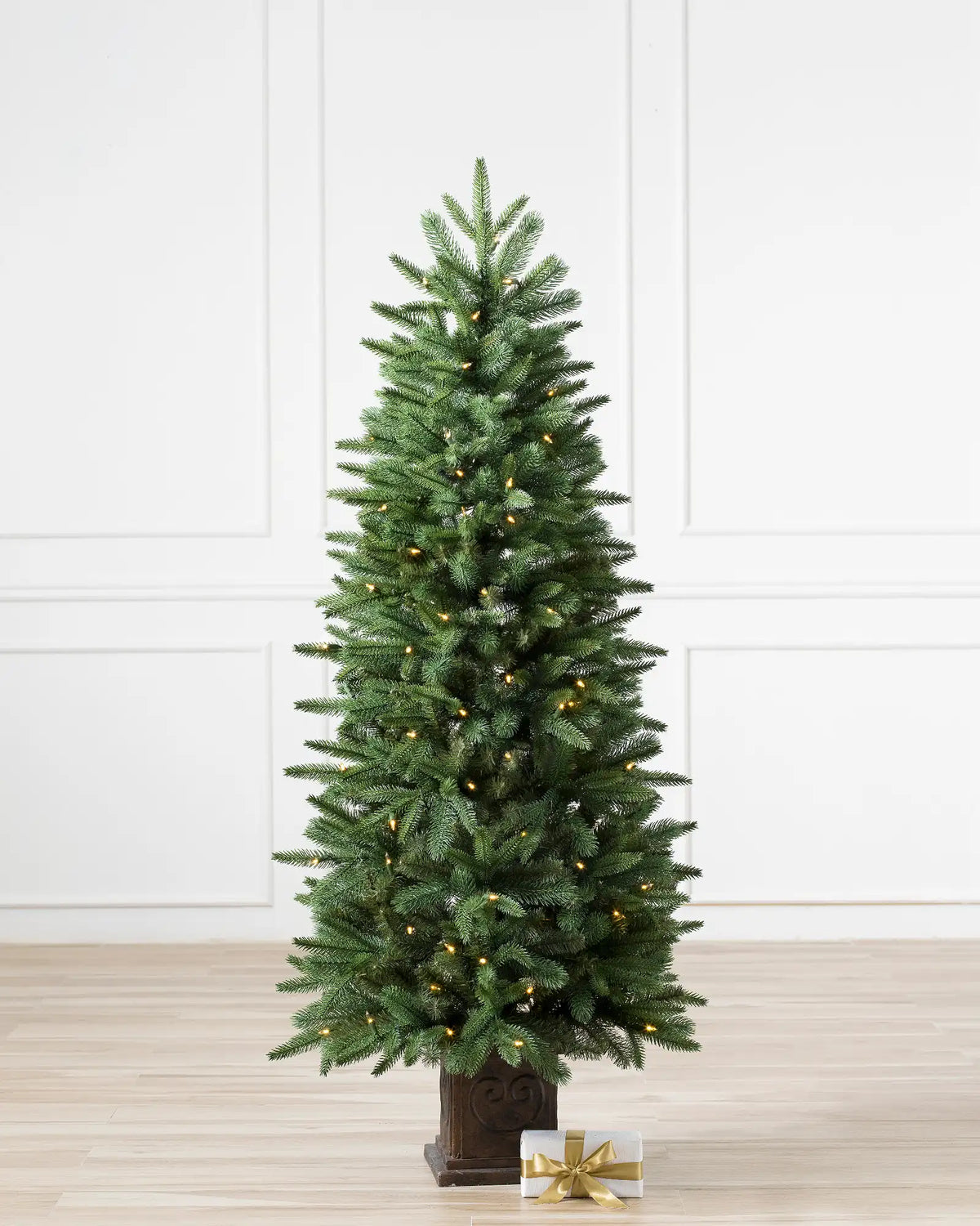 Windsor Spruce Potted Trees