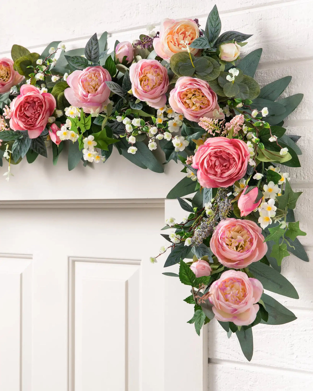 Outdoor Provence Rose Foliage