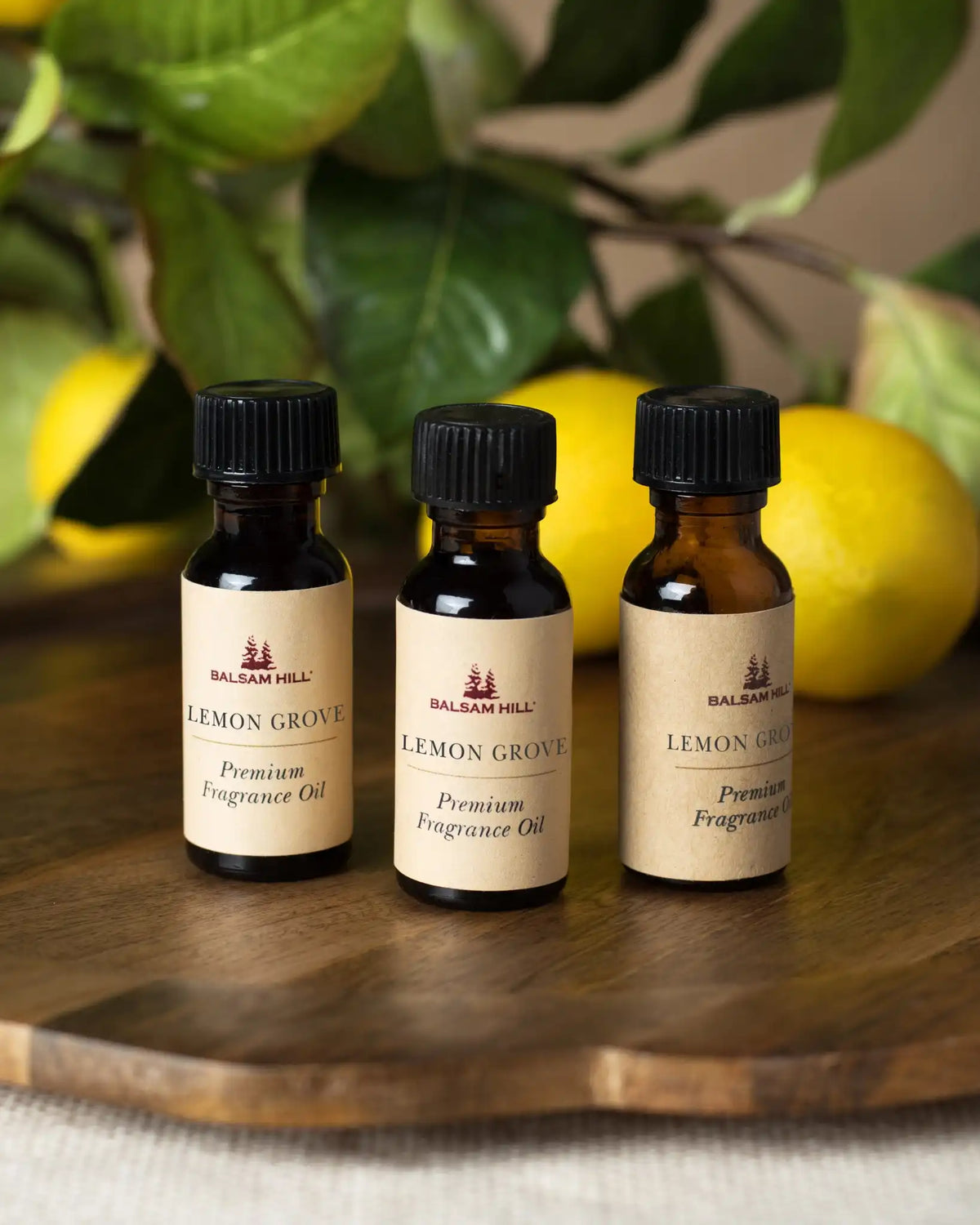 Spring Scents of the Season Cartridge Set