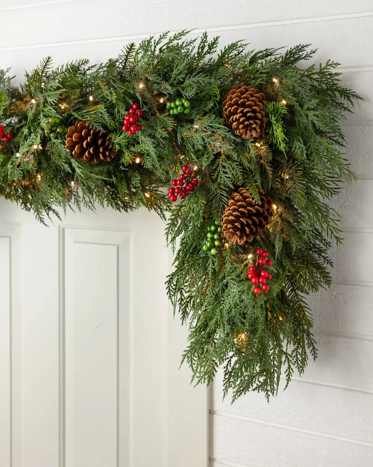 Outdoor Winter Evergreen Foliage
