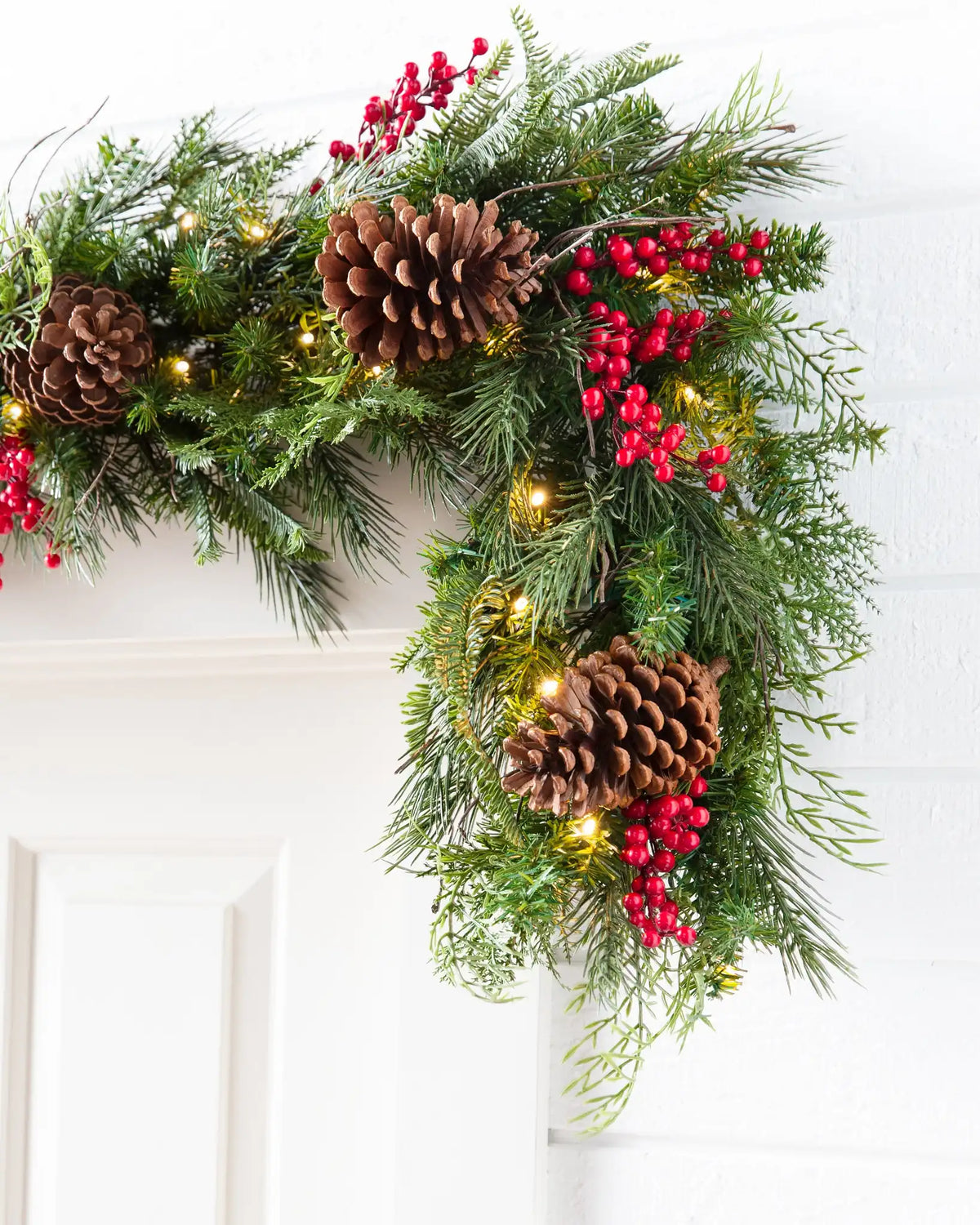 Outdoor Red Berry Pine Foliage